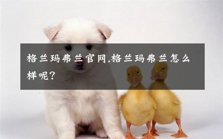 格兰玛弗兰官网,格兰玛弗兰怎么样呢?