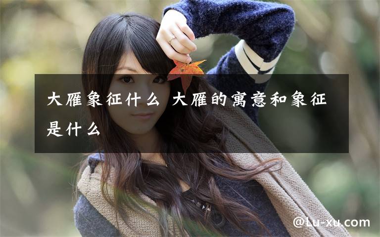 大雁象征什么 大雁的寓意和象征是什么