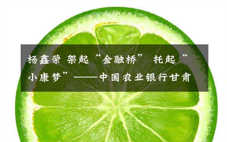 杨鑫荣 架起“金融桥” 托起“小康梦”——中国农业银行甘肃分行金融扶贫工作速记