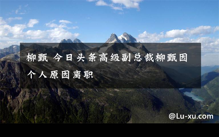 柳甄 今日头条高级副总裁柳甄因个人原因离职