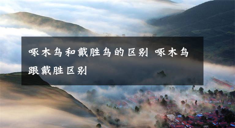 啄木鸟和戴胜鸟的区别 啄木鸟跟戴胜区别
