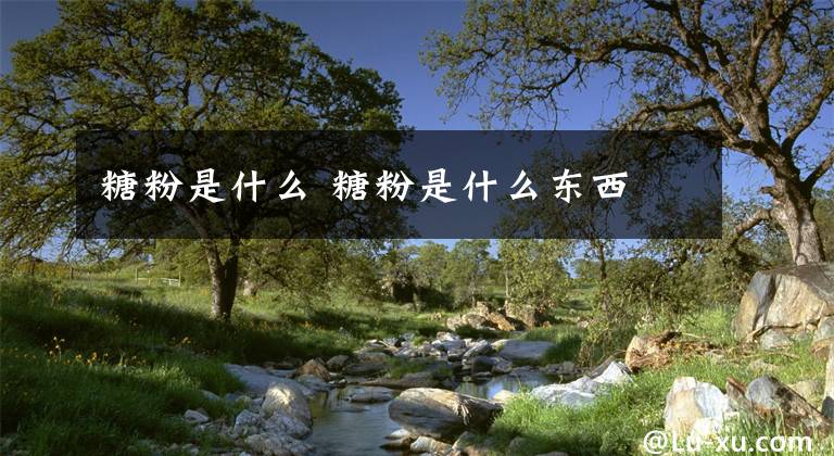 糖粉是什么 糖粉是什么东西