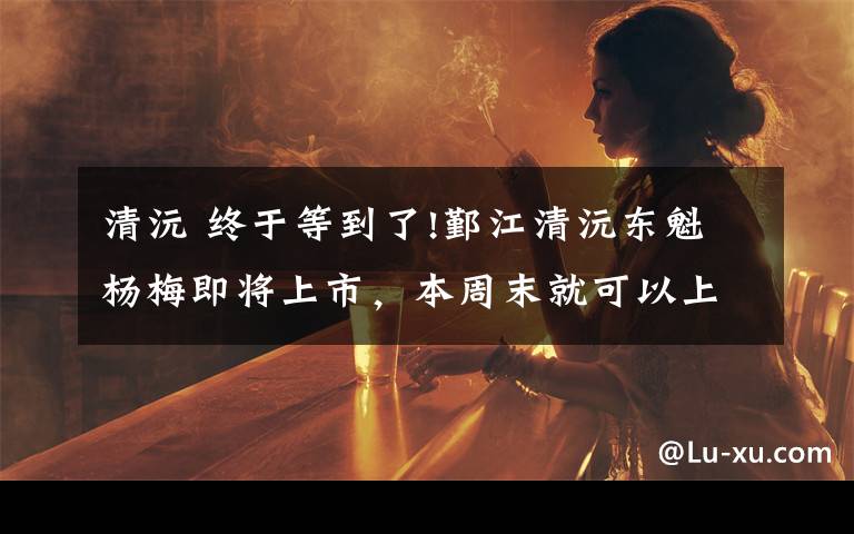 清沅 终于等到了!鄞江清沅东魁杨梅即将上市,本周末就可以上山采摘!