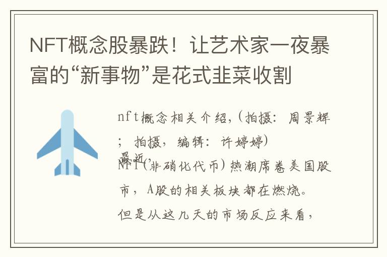 NFT概念股暴跌!让艺术家一夜暴富的“新事物”是花式韭菜收割机吗?