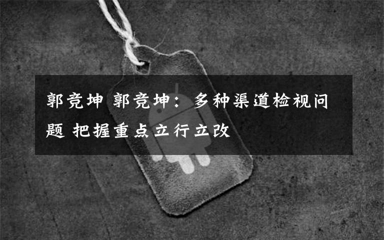 郭竞坤 郭竞坤:多种渠道检视问题 把握重点立行立改