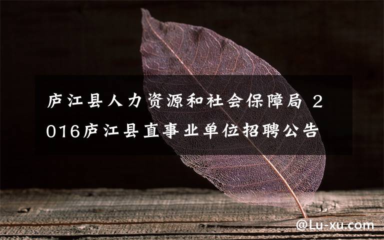 庐江县人力资源和社会保障局 2016庐江县直事业单位招聘公告
