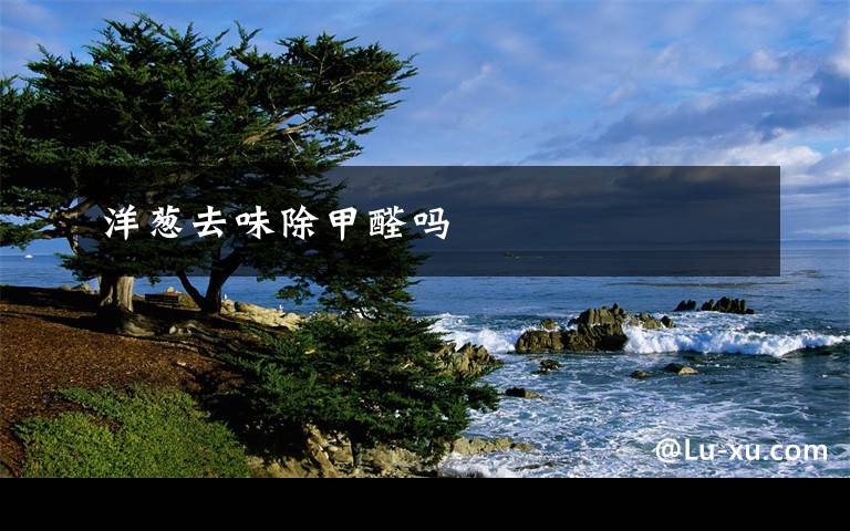 洋葱去味除甲醛吗