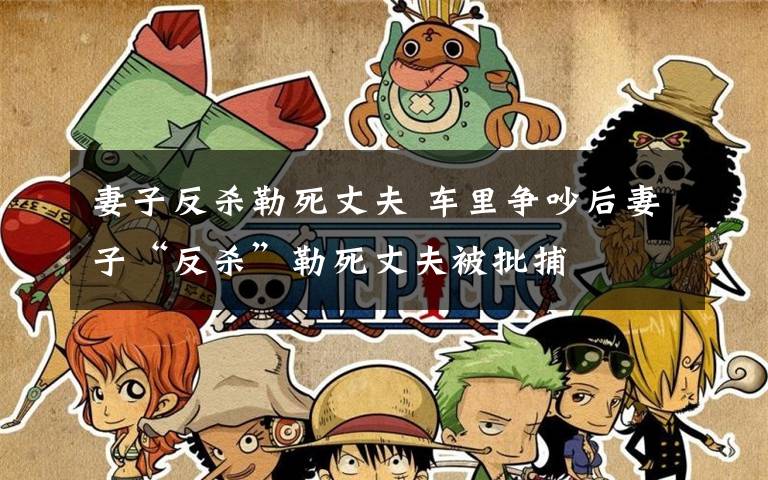 妻子反杀勒死丈夫 车里争吵后妻子“反杀”勒死丈夫被批捕