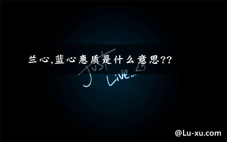 兰心,蓝心惠质是什么意思??