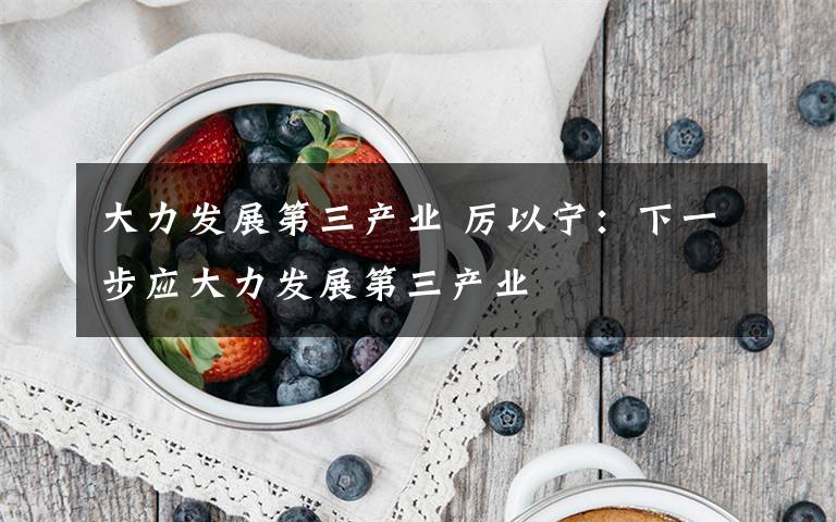 大力发展第三产业 厉以宁:下一步应大力发展第三产业