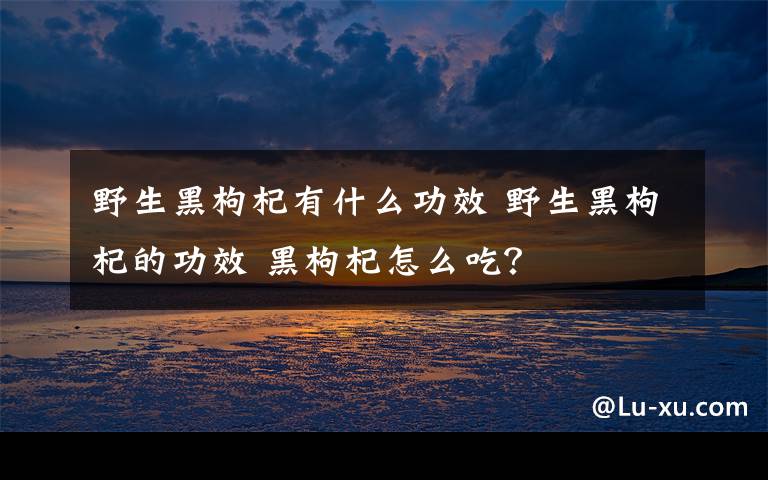 野生黑枸杞有什么功效 野生黑枸杞的功效 黑枸杞怎么吃?