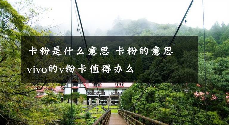 卡粉是什么意思 卡粉的意思 vivo的v粉卡值得办么