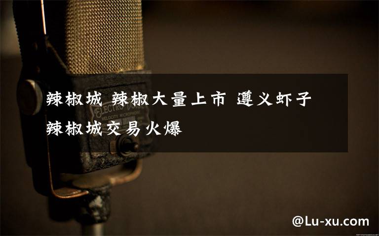 辣椒城 辣椒大量上市 遵义虾子辣椒城交易火爆