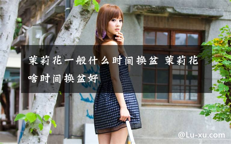 茉莉花一般什么时间换盆 茉莉花啥时间换盆好