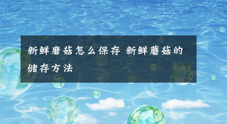 新鲜磨菇怎么保存 新鲜蘑菇的储存方法