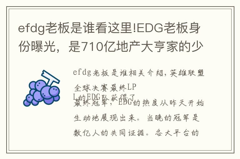 efdg老板是谁看这里!EDG老板身份曝光,是710亿地产大亨家的少爷,赢了比赛直接送房子