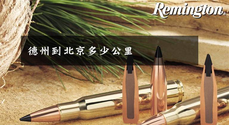 德州到北京多少公里