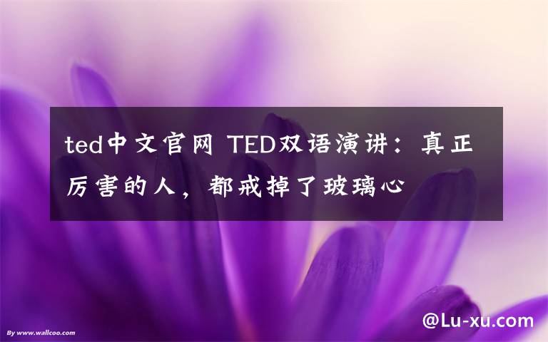 ted中文官网 TED双语演讲:真正厉害的人,都戒掉了玻璃心