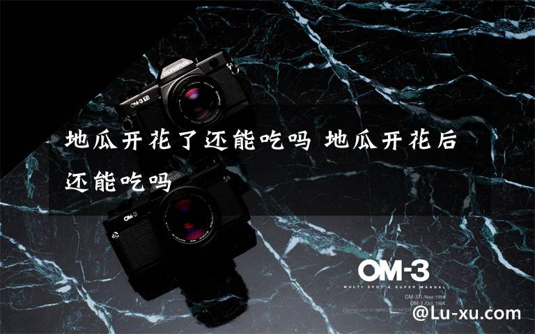 地瓜开花了还能吃吗 地瓜开花后还能吃吗