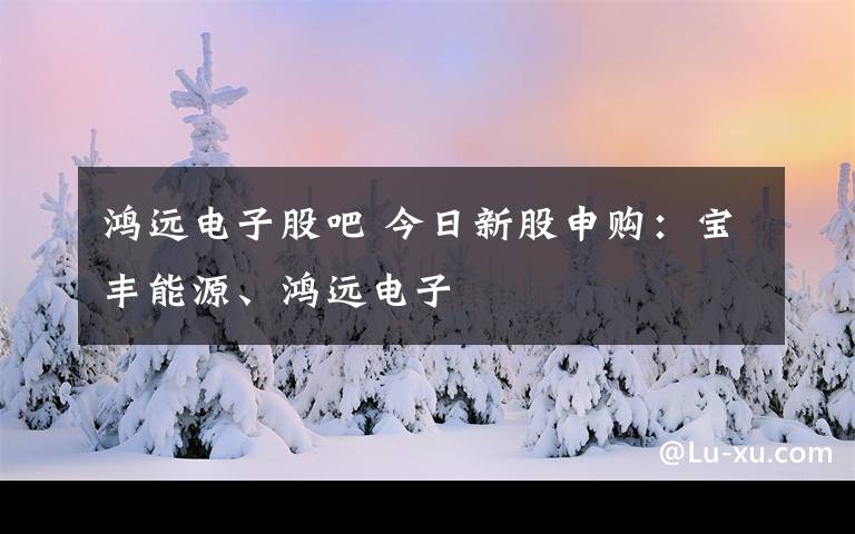 鸿远电子股吧 今日新股申购:宝丰能源、鸿远电子