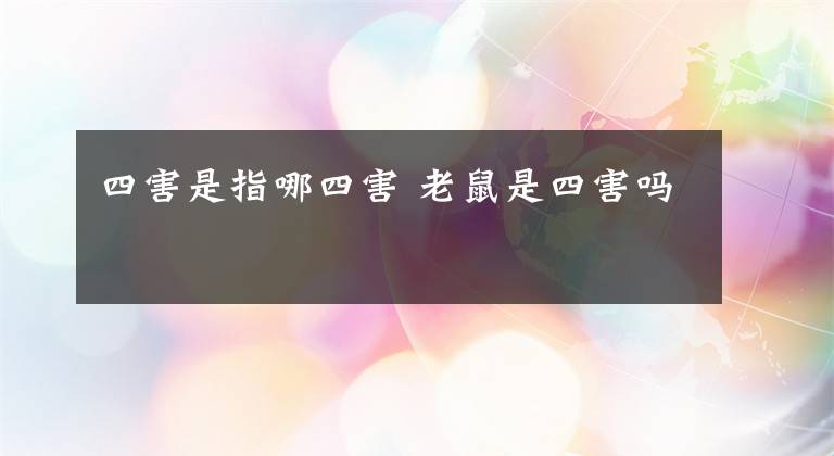 四害是指哪四害 老鼠是四害吗