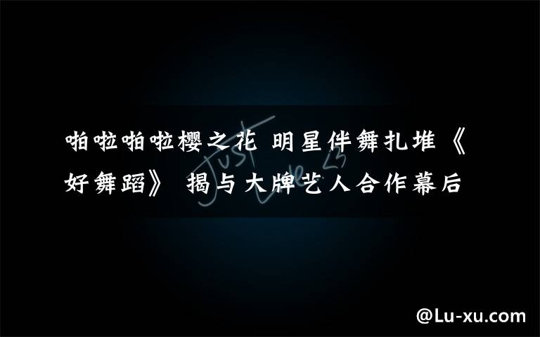 啪啦啪啦樱之花 明星伴舞扎堆《好舞蹈》 揭与大牌艺人合作幕后