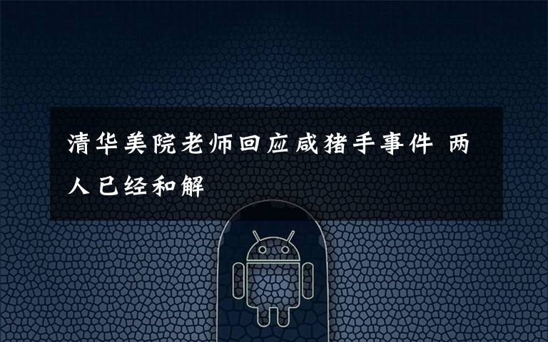 清华美院老师回应咸猪手事件 两人已经和解