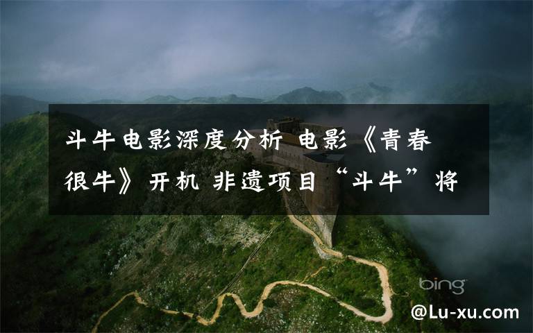 斗牛电影深度分析 电影《青春 很牛》开机 非遗项目“斗牛”将亮相大荧幕