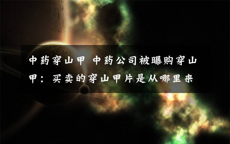 中药穿山甲 中药公司被曝购穿山甲:买卖的穿山甲片是从哪里来的?