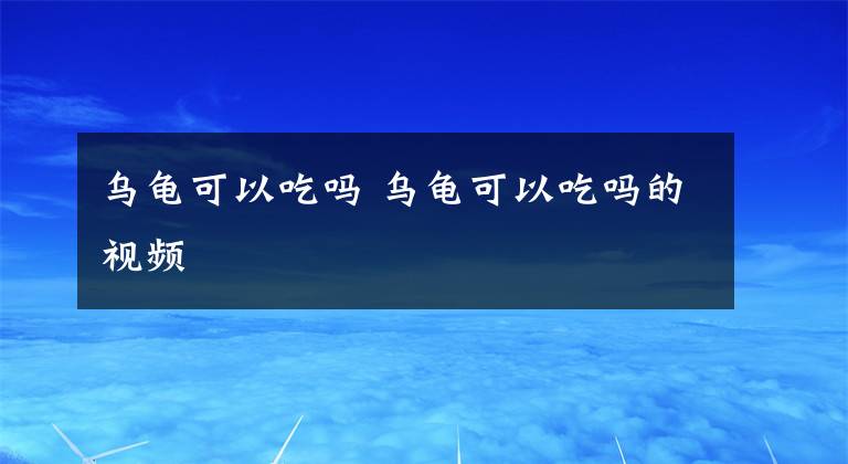 乌龟可以吃吗 乌龟可以吃吗的视频