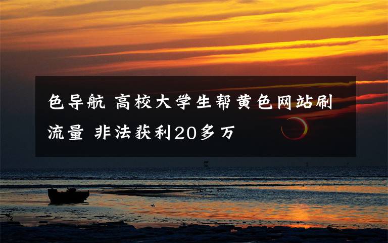 色导航 高校大学生帮黄色网站刷流量 非法获利20多万