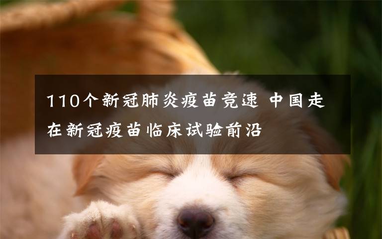 110个新冠肺炎疫苗竞速 中国走在新冠疫苗临床试验前沿