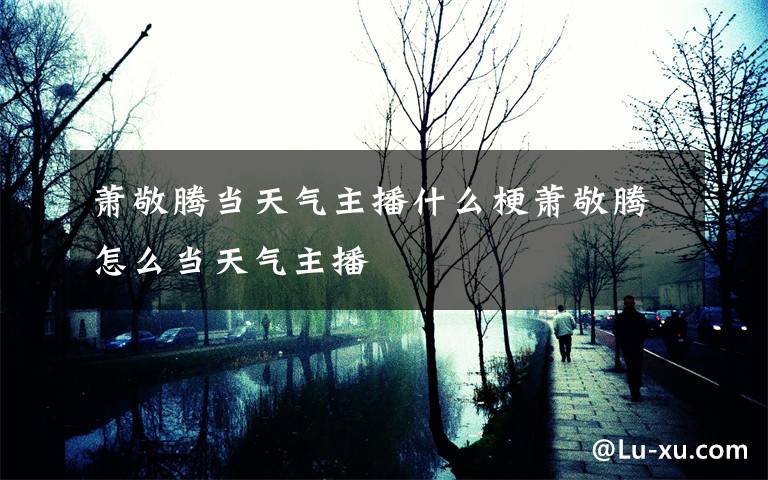 萧敬腾当天气主播什么梗萧敬腾怎么当天气主播