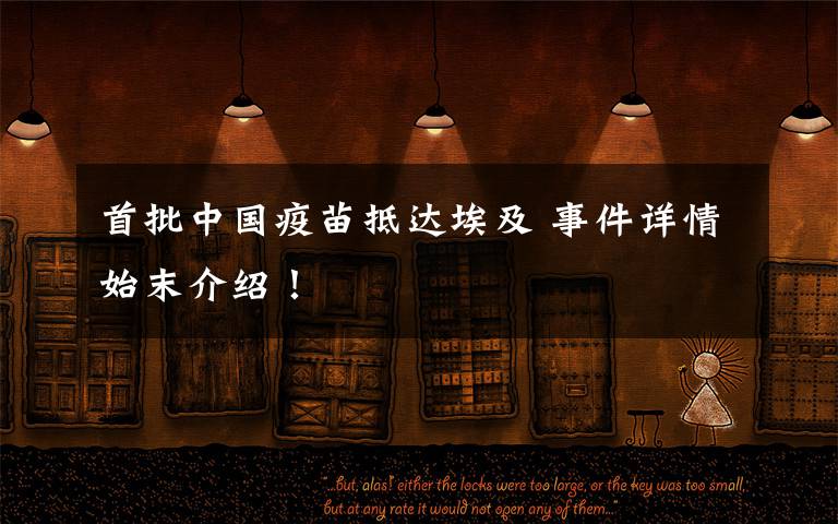 首批中国疫苗抵达埃及 事件详情始末介绍!