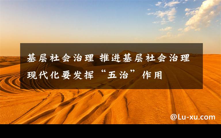 基层社会治理 推进基层社会治理现代化要发挥“五治”作用
