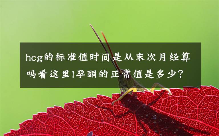 hcg的标准值时间是从末次月经算吗看这里!孕酮的正常值是多少?在这一范围,说明胎儿生长发育环境好
