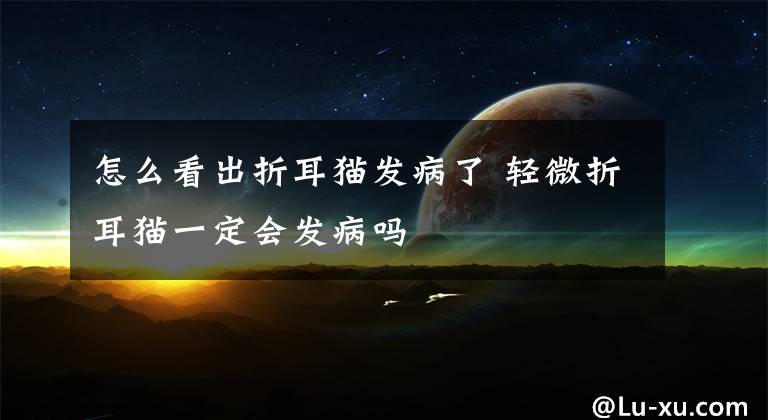 怎么看出折耳猫发病了 轻微折耳猫一定会发病吗