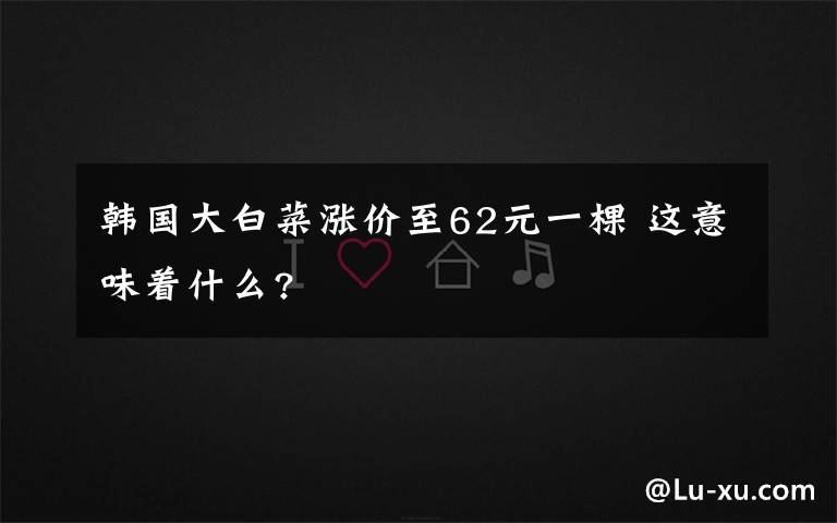 韩国大白菜涨价至62元一棵 这意味着什么?
