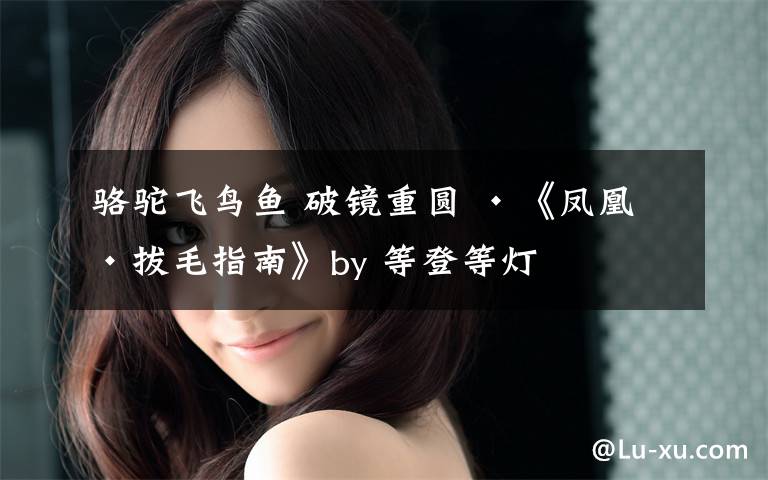 骆驼飞鸟鱼 破镜重圆 ·《凤凰男拔毛指南》by 等登等灯