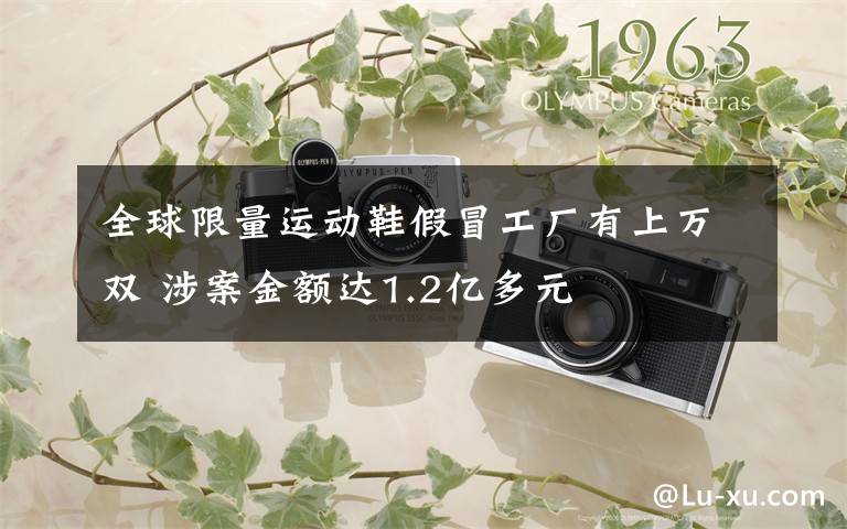 全球限量运动鞋假冒工厂有上万双 涉案金额达1.2亿多元