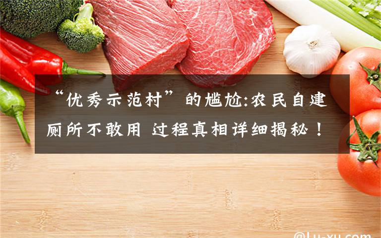 “优秀示范村”的尴尬:农民自建厕所不敢用 过程真相详细揭秘!
