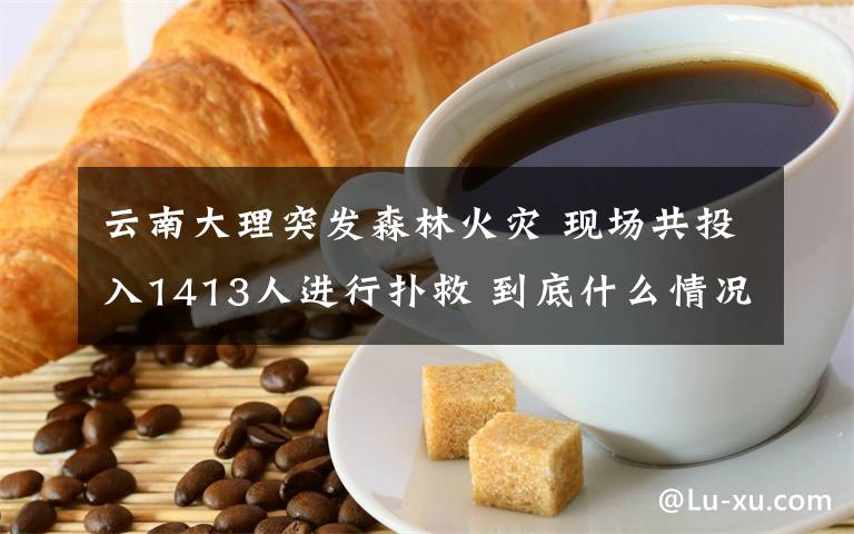 云南大理突发森林火灾 现场共投入1413人进行扑救 到底什么情况呢?