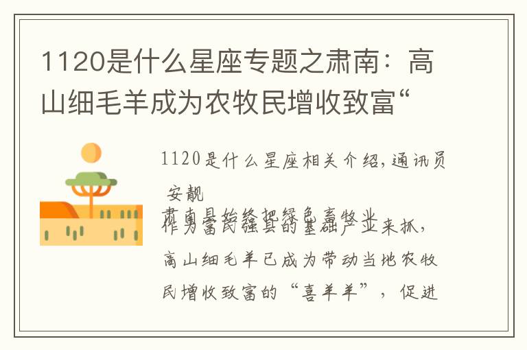 1120是什么星座专题之肃南：高山细毛羊成为农牧民增收致富“喜羊羊”