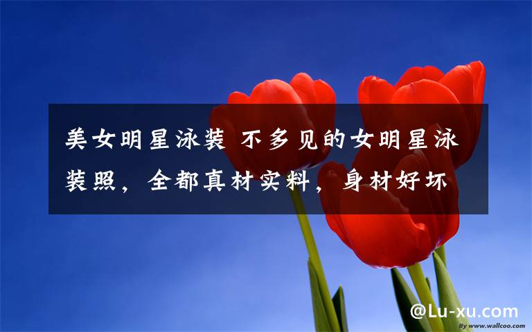 美女明星泳装 不多见的女明星泳装照,全都真材实料,身材好坏一目了然!