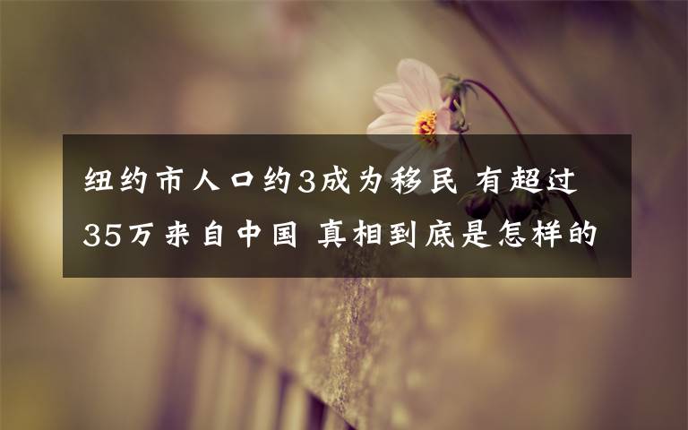 纽约市人口约3成为移民 有超过35万来自中国 真相到底是怎样的?