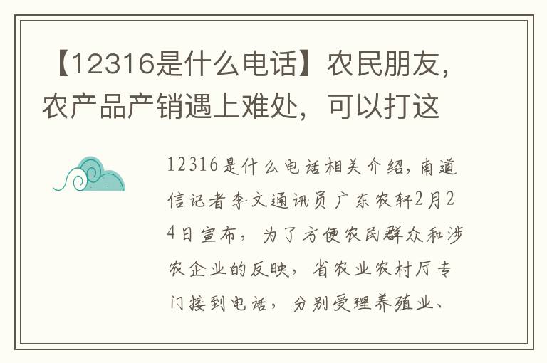 【12316是什么电话】农民朋友,农产品产销遇上难处,可以打这几个电话