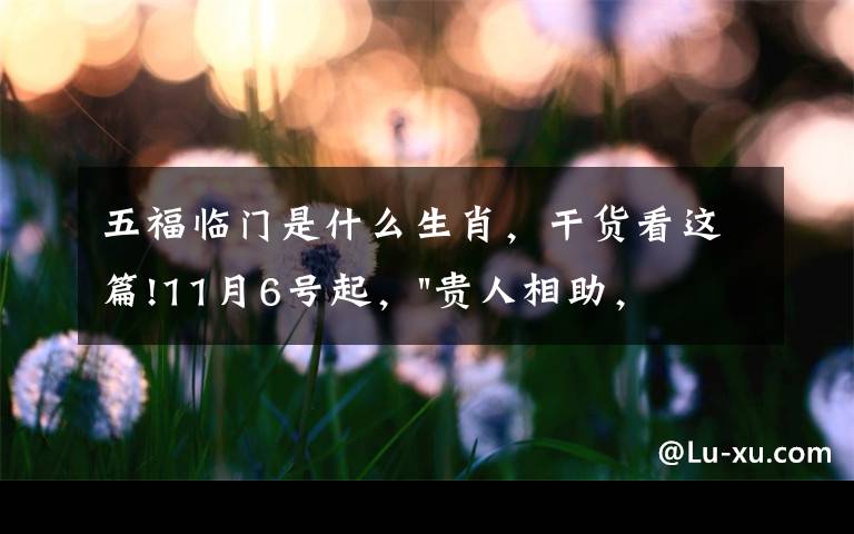 五福临门是什么生肖,干货看这篇!11月6号起,"贵人相助,升官发财",五福临门的三大生肖,还有谁
