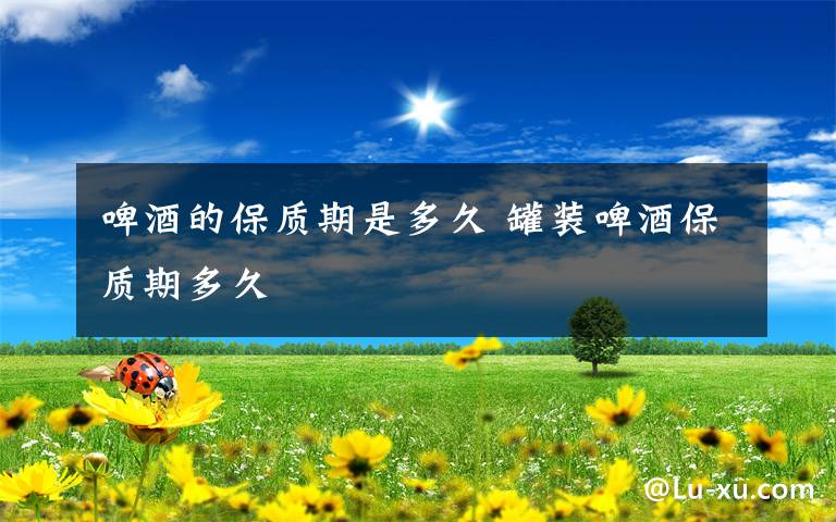 啤酒的保质期是多久 罐装啤酒保质期多久