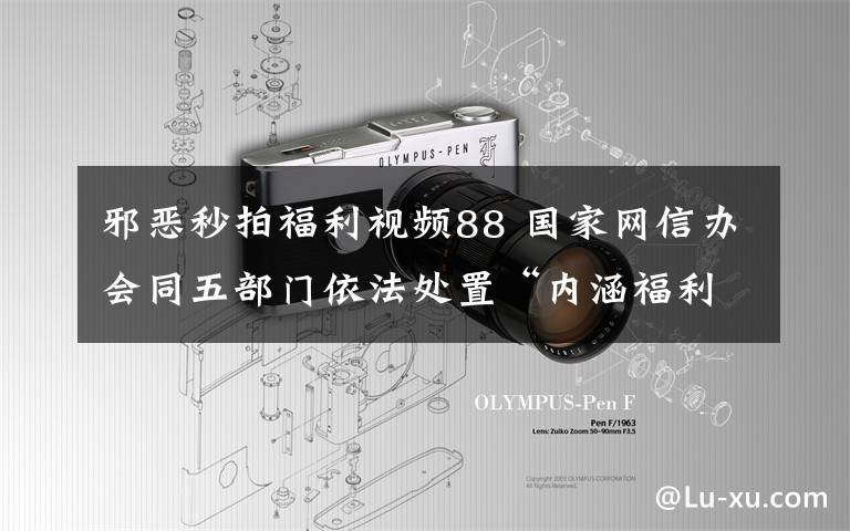 邪恶秒拍福利视频88 国家网信办会同五部门依法处置“内涵福利社”等19款短视频应用