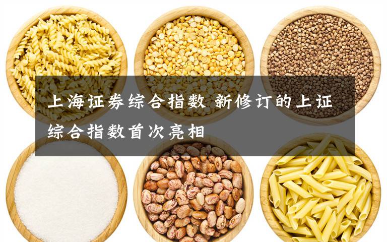 上海证券综合指数 新修订的上证综合指数首次亮相